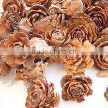 100% Natural & Pure Cedar Wood Oil (China) / Manufacturer / Supplier / Exporter