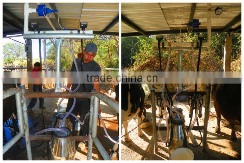 Small Farm Pail Bucket Milking Equipment