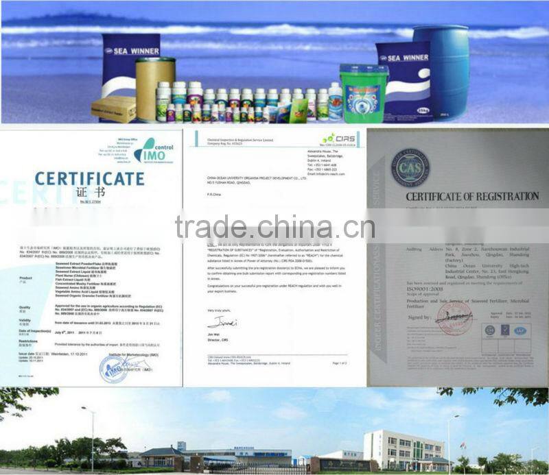 Amino Acid Compound Powder