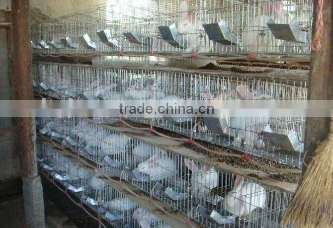 Mother and Baby Rabbit Cage