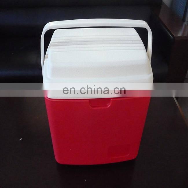 10L Car Cooler/Warmer Fridge Plastic Box for Picnic