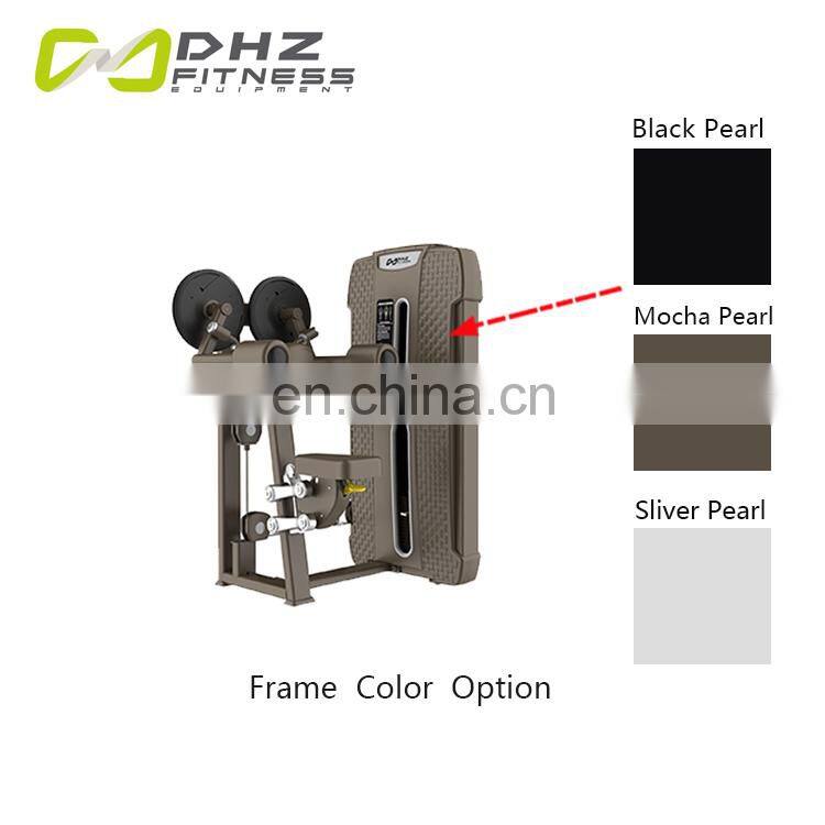 Shandong Dahuzi Lateral Raise Training Machine For Gym Equipment