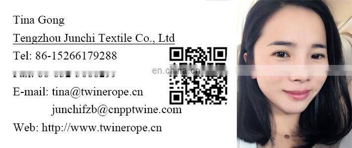 800D High Tenacity Coloured Pp Twisted Yarn with UV
