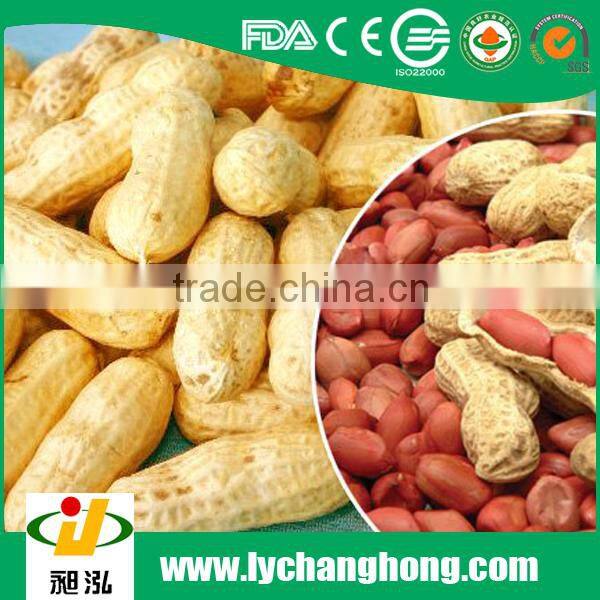 2015 new crop red skin peanut