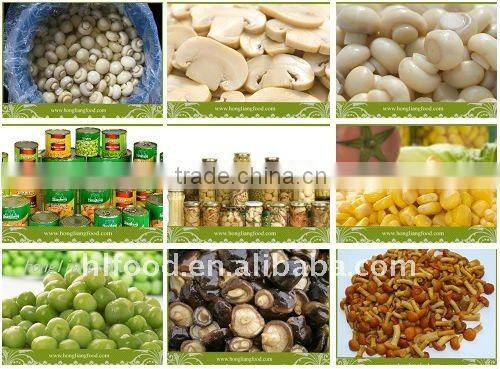 Whole Champignon Agaricus in Conserve