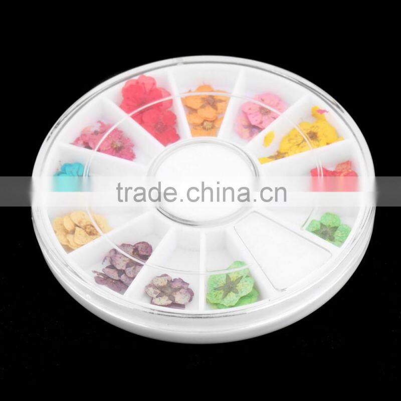 Stickers & Decals Cheap 3D Dry Flower, Mix 12 Color Decorations Real Dried Dry Flower for Nail Art Decorations ZX:GH741