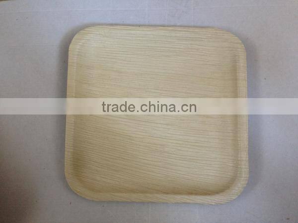 10'' x10'' palm leaf square plate