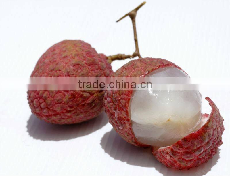 Canned Foodstuff Chinese Canned Lychee in Syrup