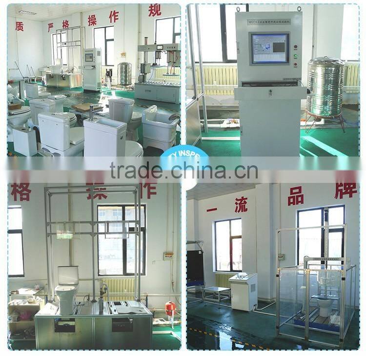 TJZ-06ce 2016 top bidet toilet with bidet function cheap model smart bidet toilet