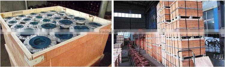 DN200 Basket Strainer With Foot Valve