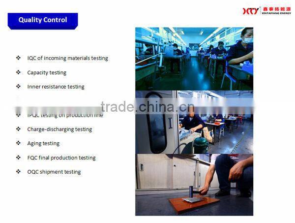 703048 3.7V 1000mAh Lithium Polymer Battery