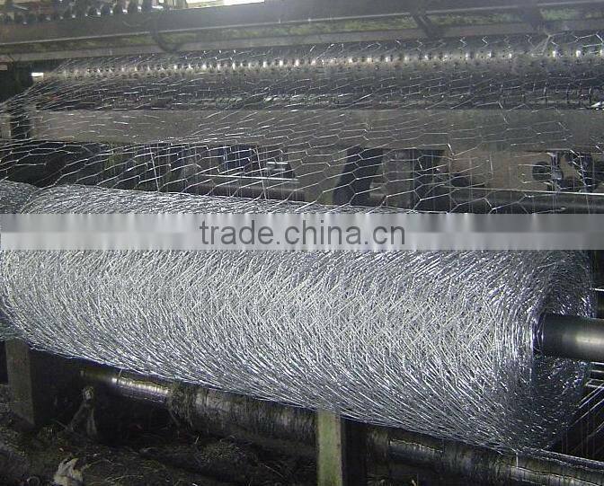 PVC Coated Hexagonal Wire Mesh (MANUFACTURER&FACTORY )