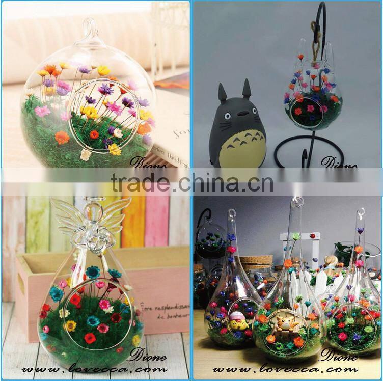 Hot selling wholesale indoor plant rose gold glass terrarium geometric