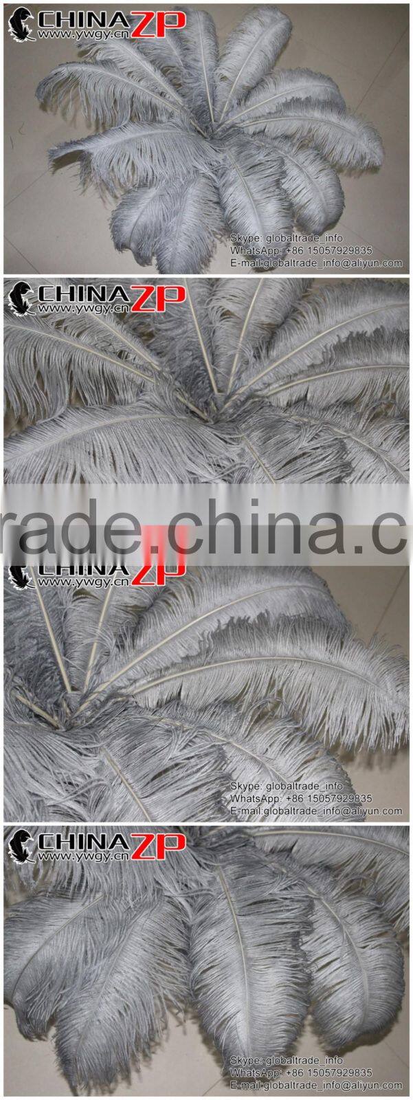 CHINAZP Factory Exporting Leading Bulk Sale Colored Stripped Silver Grey Large Ostrich feathers for Weddings