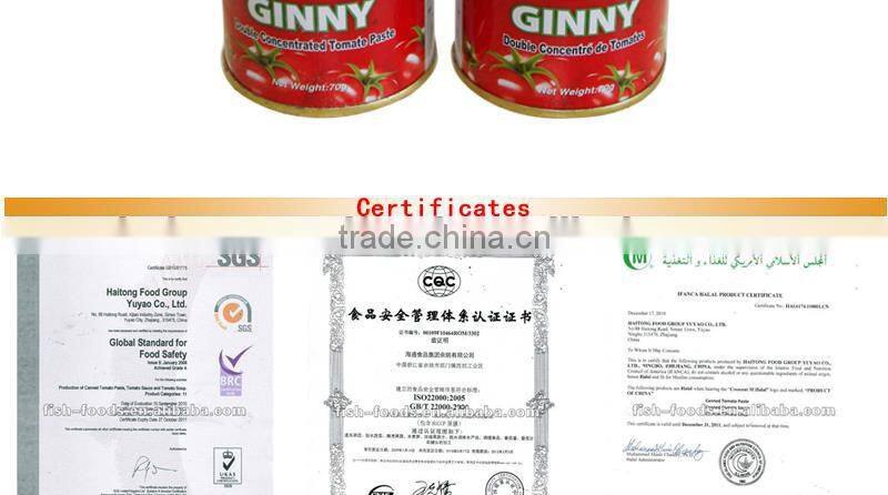 Best canned tomato paste in 70gX100tins