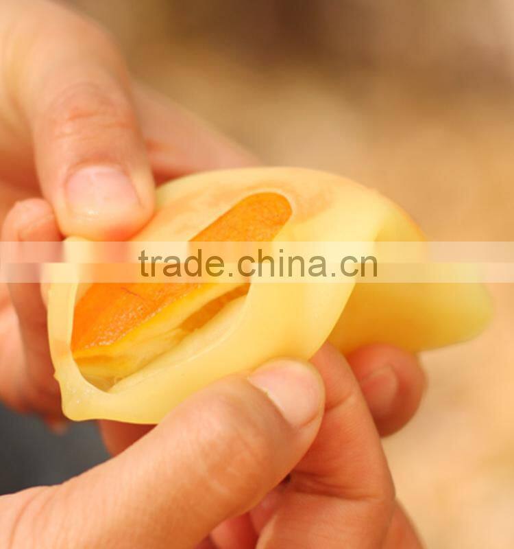 2016 new arrival home use hand press healthy portable mini squeezer