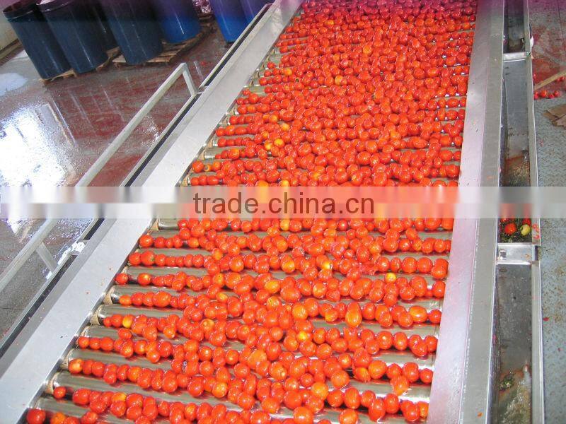 turnkey project of tomato paste processing machinery
