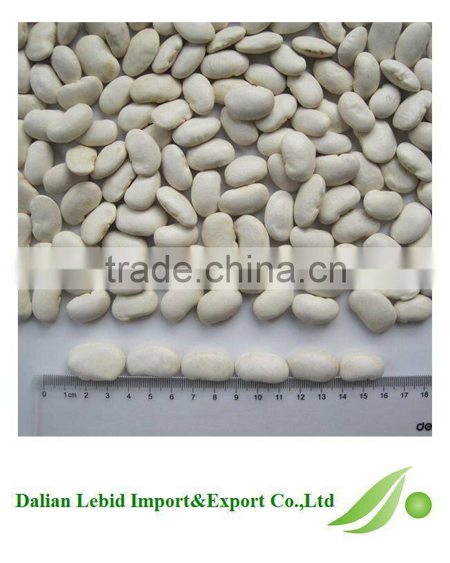 All Kinds Of Beans Cooking White beans 2016 Crop Wholesale
