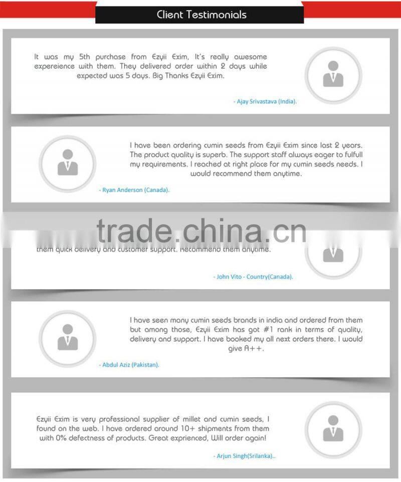 Most Trusted Dealer Supplying Organic Raw Peanuts at Leading Market Rate