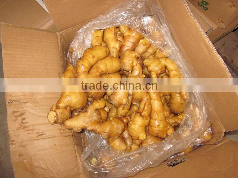 VIETNAM FRESH GINGER
