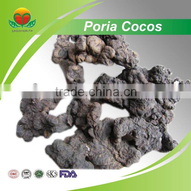 Most Popular Poria Cocos
