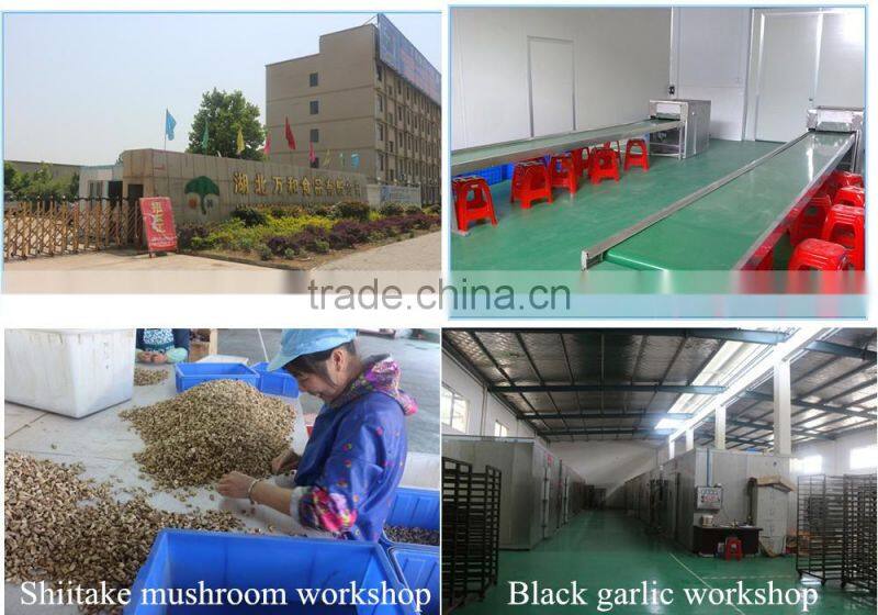 Best selling Aged Black Garlic