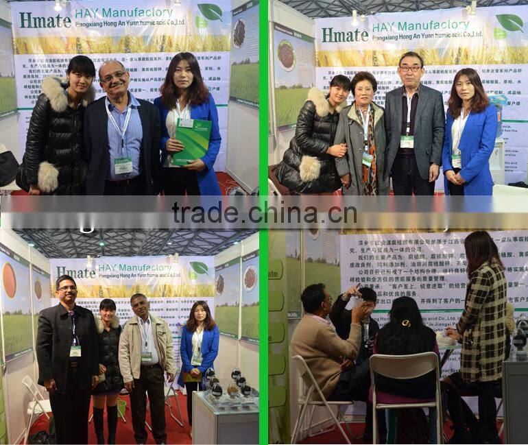 tea seed meal cotton seed cake