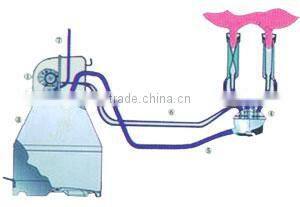 Cow/Goat Bucket Milking System