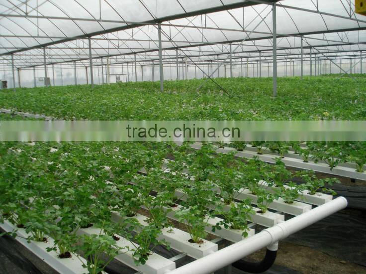 Greenhouse hydroponic grow trays growing systems