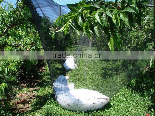orchard anti hail net