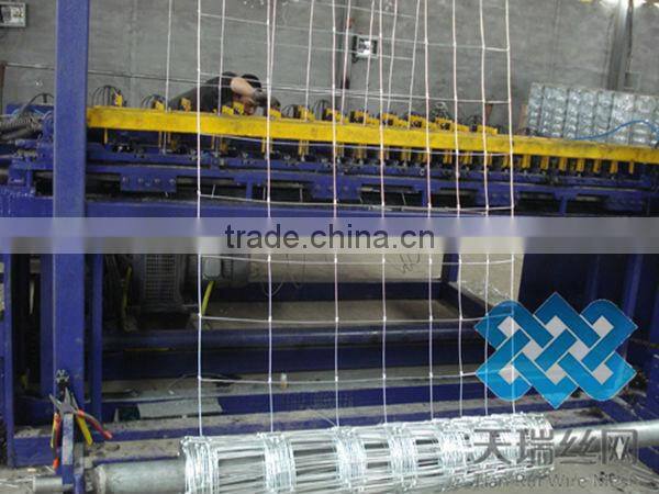 Hot Dipped Galvanized Cattle Field Fence/galvanized farm fence