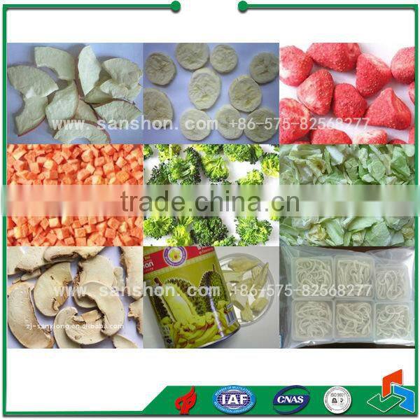 Advanced Sanshon FDG-100 Fruit and Vegetable Strawberry Vacuum Freeze Dryer