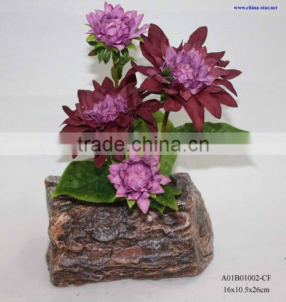 four heads dahlia potted