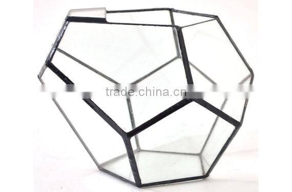 Stretched Dodecahedron 3 sizes Geometric Fruit Glass Terrarium
