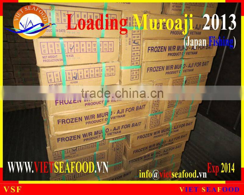 LOADING MUROAJI FOR TUNA BAIT