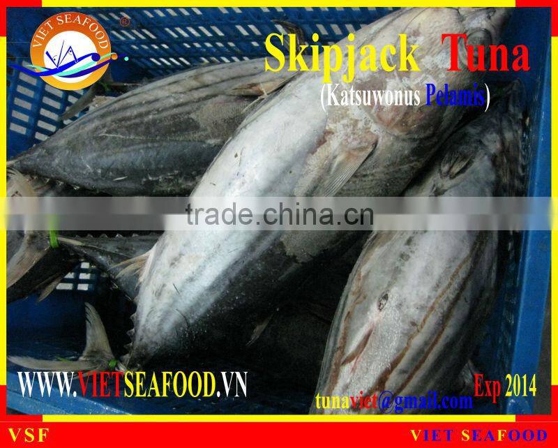W/R FROZEN SKIPJACK TUNA