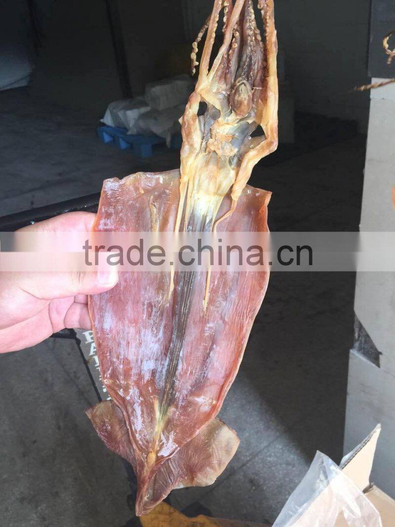 dried illex squid