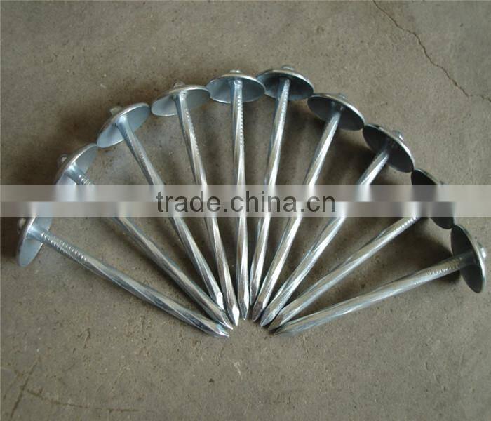 galvanized screw Umbrella head roofing nails