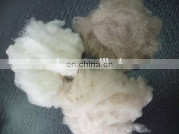 Sharrefun fine dehaired and carded 100% Cashmere Tops Ivory 16.5mic/46mm