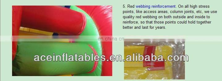 wet&dry shark inflatable combo