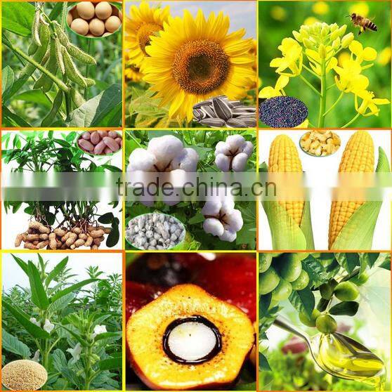 10-200 t/d soybean oil deodorizer with turnkey price FFA 0.15-0.22