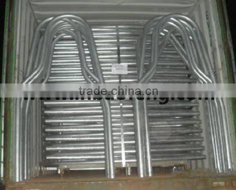 galvanized cow cubics cattle loops livestock farm