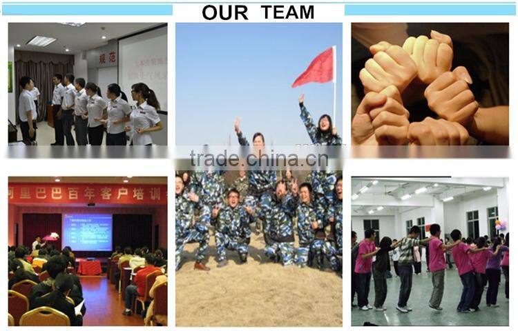 stainless steel glass patch fittings/glass door glass patch fittings DL-019