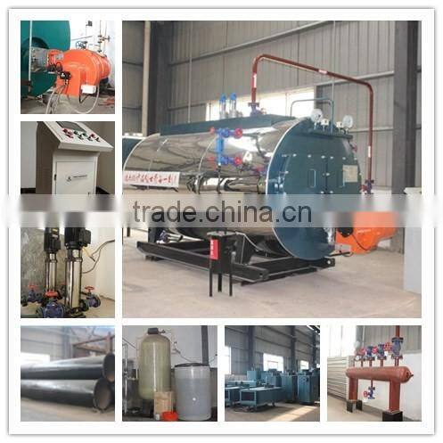 2-3ton natural gas fired steam boiler for food dehydration/food project