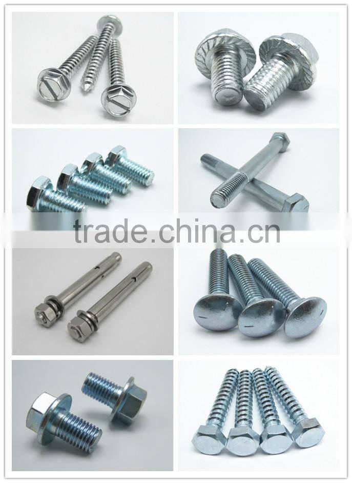 Stainless Steel Knurled Head Thumb Screw