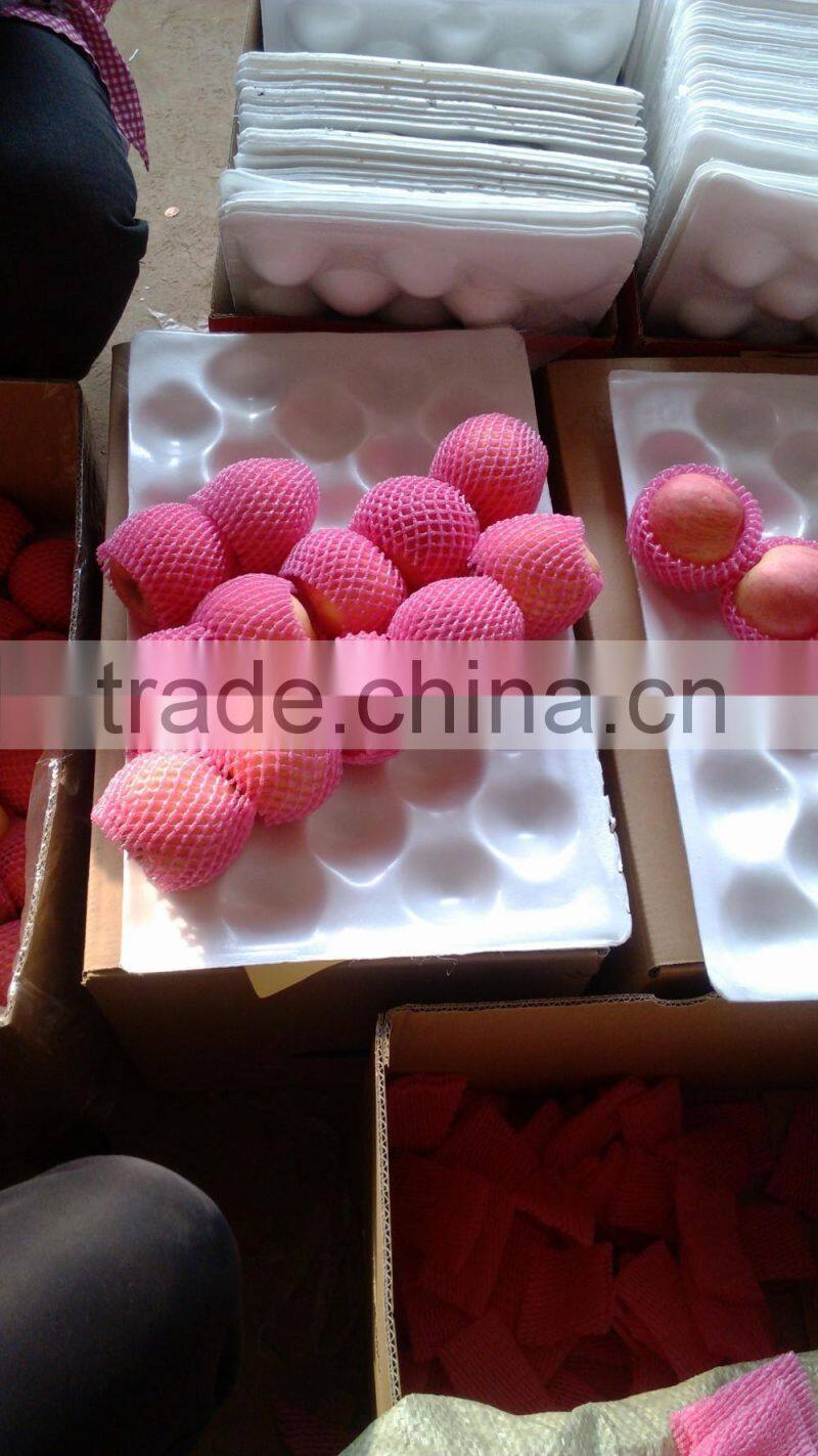 apple planter chinese apple fuji apple carton 20kg