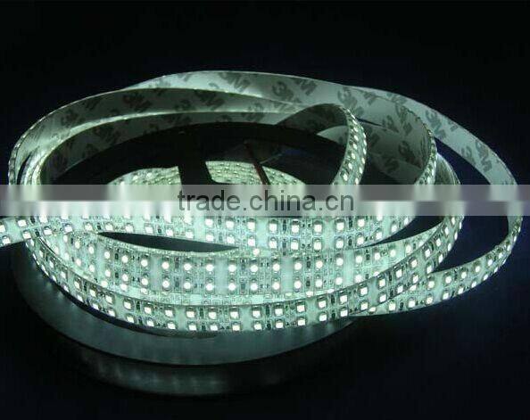 2 Row 240leds/m Cold White Waterproof Outdoor 3528 Led Strip For Building Decoration
