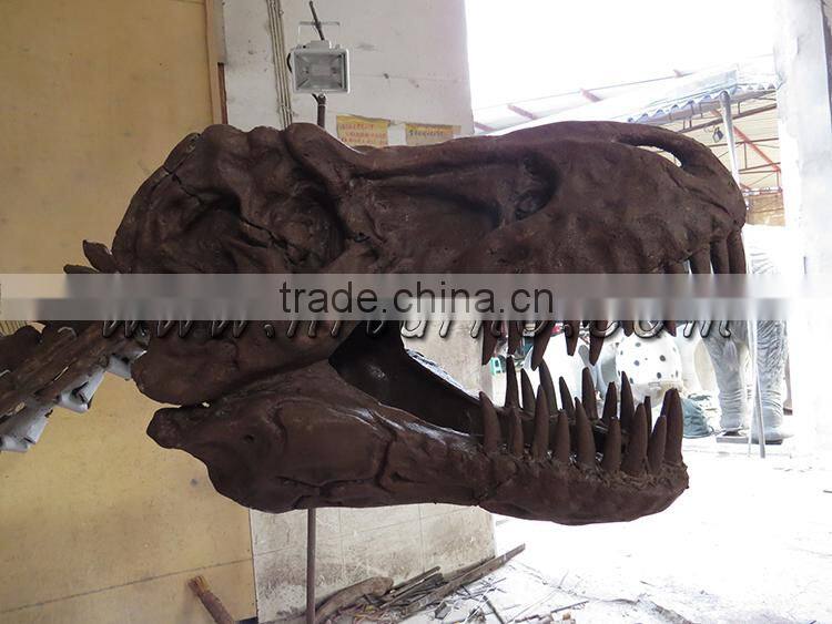 HLT Dinosaur Fossil dinosaur skeleton for sale