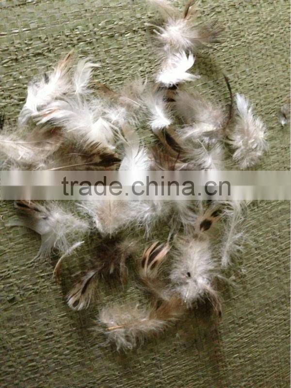 EN12934 grey duck feather high fill power