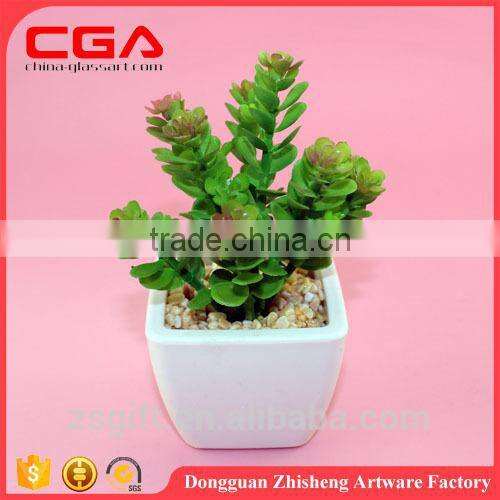 Artificial Artificial succulent plants tropical plants Plastic emulation succulent plant